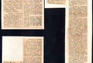 Calvi Noale 1973 Promozione Veneta Di Blas Claudio  633